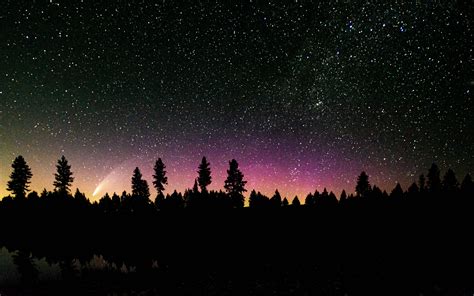 Download Wallpaper 3840x2400 Trees Silhouette Starry Sky Stars