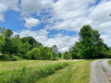 35 +/- Acre Upshur County Land