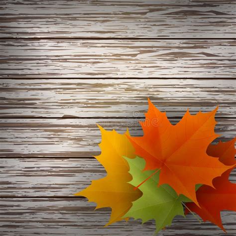 Autumn Maple Leaves On Wood Background Stock Vector Illustration Of