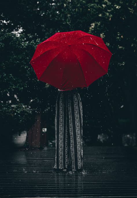 Download Rain Nature Red Umbrella Wallpaper