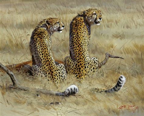Lute Vink One Of The Best Wildlife Artists In The World And Obviously