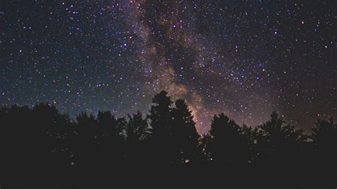 Download Wallpaper 1920x1080 Starry Sky Milky Way Trees Stars Night