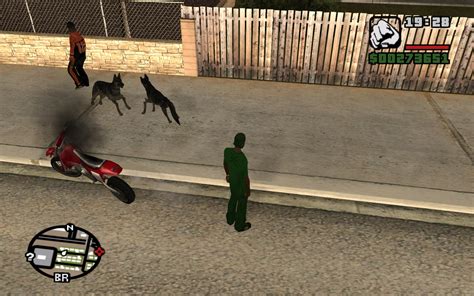 The Gta Place Feral Street Dogs V100