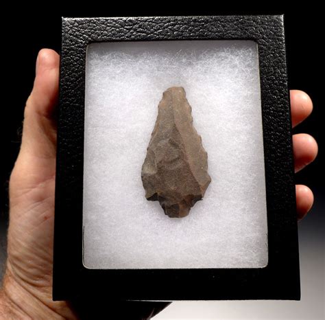 Oldest Arrowhead Exceptionally Large Fine Middle Stone Age Aterian