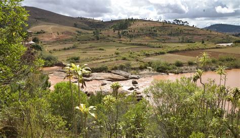 Makira Redd Madagascar Climate Impact Partners