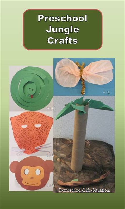 70 Jungle Animal Books For Preschoolers Sanscompro Misaucun
