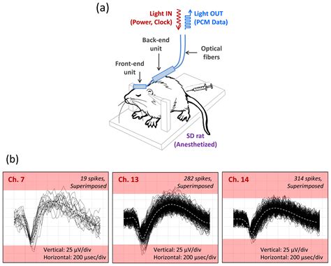 Sensors Free Full Text An Implantable Neural Sensing Microsystem