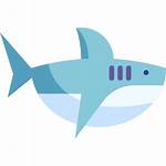 Shark Icons Icon Shape Flaticon