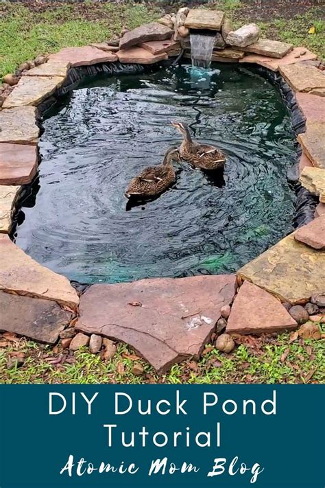 Diy Duck Pond Duck Pond Diy Ponds Backyard Diy Pond