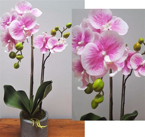 Butterfly Phal Orchid Plant Real Touch Mauve In Pot Artificial Flower 50cm Tropical Scene