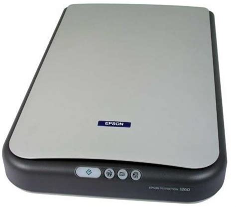 Cucina Beneficenza Acro Scanner Epson Thorns Disegnare Pulsare