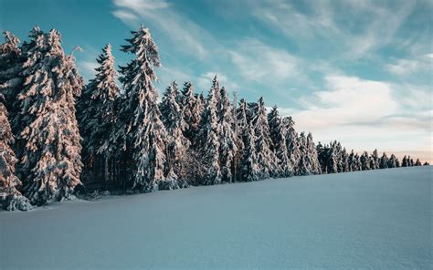 Download Wallpaper 3840x2400 Trees Spruces Snow Landscape Winter 4k