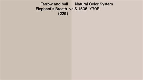 Farrow And Ball Elephant S Breath 229 Vs Natural Color System S 1505
