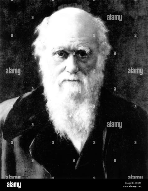Charles Darwin Portrait Hi Res Stock Photography And Images Alamy