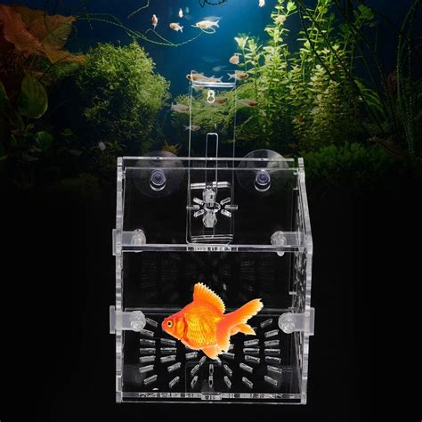 Fish Separation Breeder Box Acrylic Transparent Fish Tank Breeding Isolation Box Aquarium
