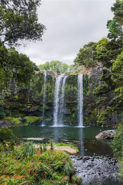 Whangarei Falls Lets Be Explorers