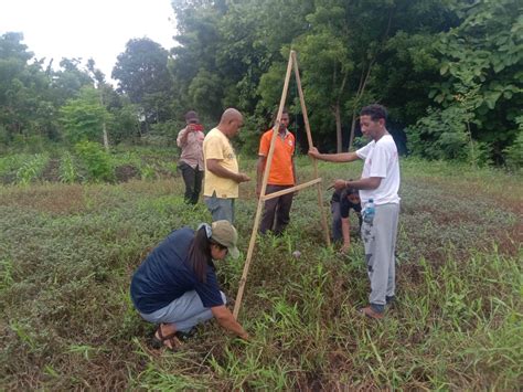 Pertanian Cerdas Iklim Jadi Solusi Atas Dampak Perubahan Iklim Bentara