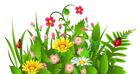 Cute Grass And Flowers Png Clipart Gallery Yopriceville High