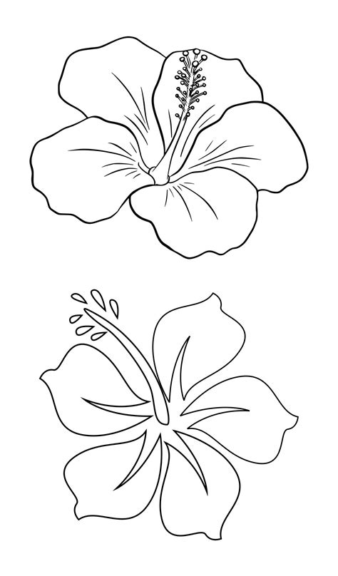 Cut Out Printable Hibiscus Flower Template