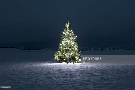 Illuminated Christmas Tree On The Snow At Night Foto Stock Getty Images