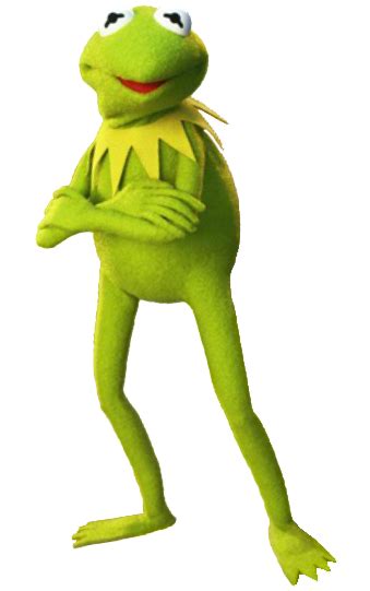 Kermit The Frog Angry