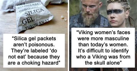 Double Viking Hotties In The Wild Telegraph