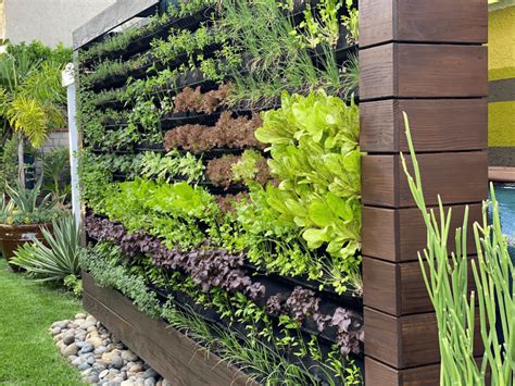 How To Create A Vertical Garden In A Small Space Camella Homes