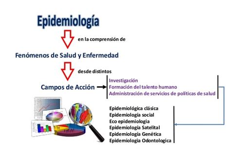 Epidemiología Qué Es Características Y Todo Lo Que Debes Saber