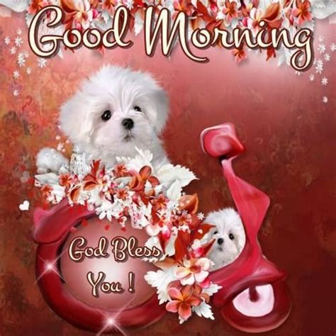 Cute Good Morning Puppy Image Pictures Photos And Images For Facebook