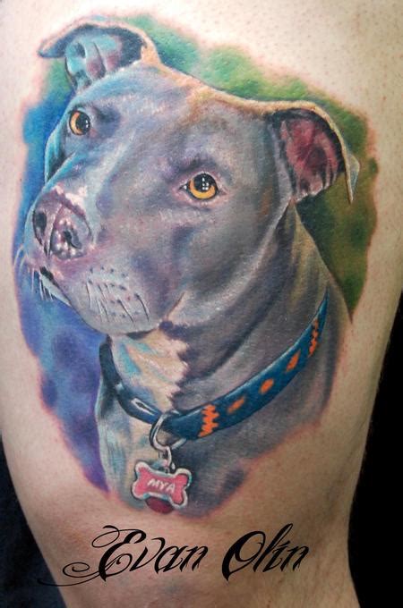 Tattoo Colors Full Color Realistic Pitbull Tattoo By Evan Olin Tattoos