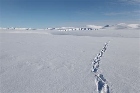 Umweltschutz in der Arktis | Umweltbundesamt