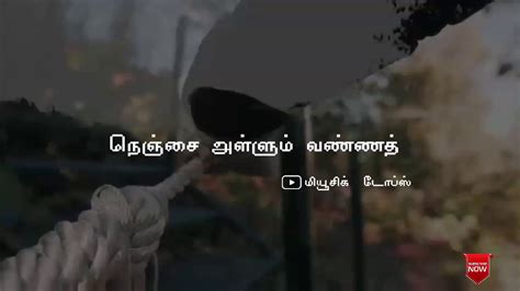 Hi,this is a tamil song which i tried to compose in fl studio 7. Elangathu veesuthe | pithamagan | whatsapp status | cover ...
