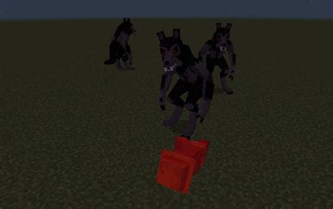Werewolf Evolution Addon 119 Mcpebedrock Mod Mc Modnet