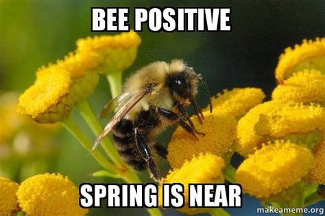 7 Funny Spring Memes To Welcome The New Season