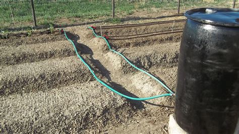 Gravity Fed Irrigation For Your Garden Survival Jack