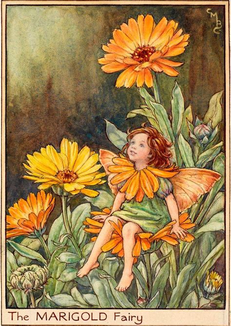 Cicely Mary Barker Marigold Flower Fairy Cicely Mary Barker Vintage