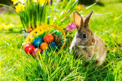 surprise visit from easter bunny goes terribly wrong in hilarious clip