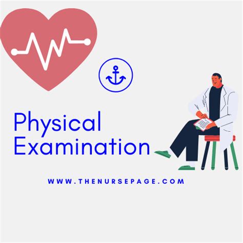 Methods Of Physical Examination The Nurse Page