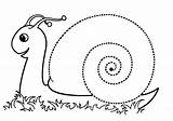 Snail Spirale Worksheet Tracer Maternelle Spirales Modeler Apprendre Line Schnecken Grafomotricidad Schnecke Escargot Graphisme Preschoolactivities Feutre Pate Exercice Actvities Pâte sketch template