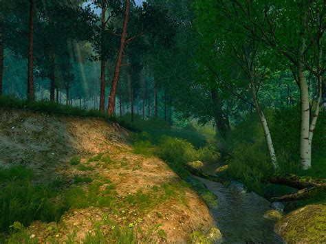 Summer Forest 3d Screensaver Give Yourself A Chance To Watch Exuberant Green Flora Thriving