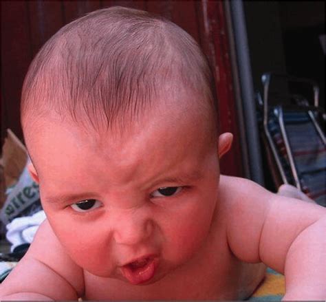 Top 167 Angry Funny Baby