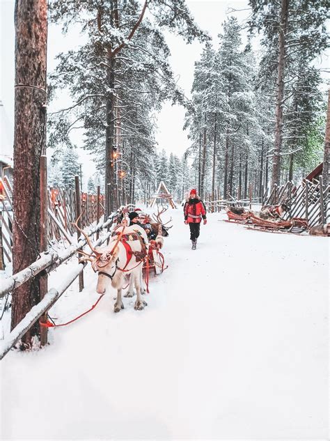 The Ultimate Guide To Visit The Finnish Lapland What To Do Where To Eat