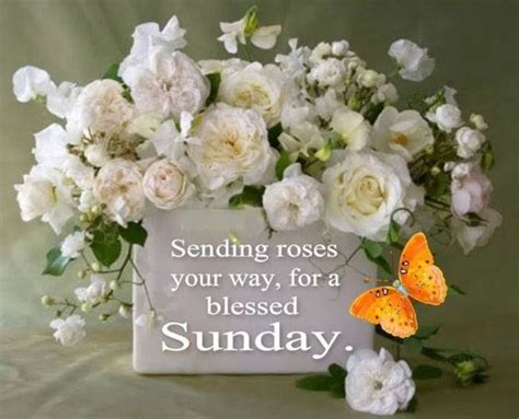 Sending Roses Your Way For A Blessed Sunday Pictures Photos And