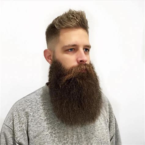 Clean Long Beardslong Beards Styles Beard Styles For Men Beard