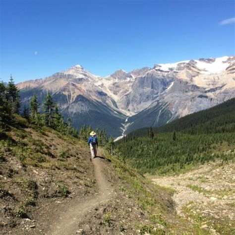 Yoho National Park Hiking Tour In Bc Timberline Adventures