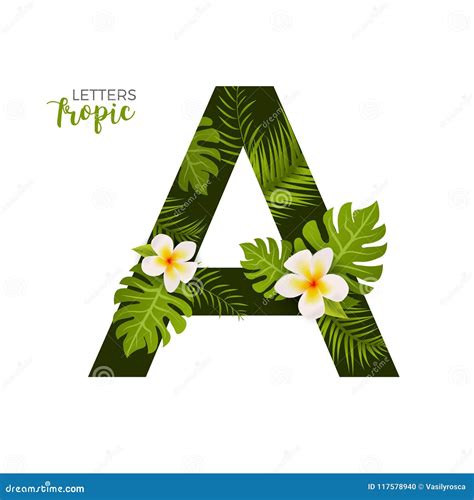 Exotic Tropical Alphabet Letter A Floral Font Letter With Palm Stock