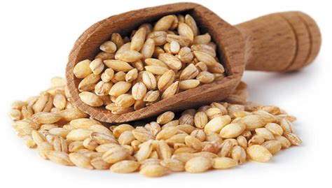 Grain Of The Month Barley Harvard Health