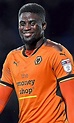 Alfred N'Diaye: 16 cup finals for Wolves | Shropshire Star