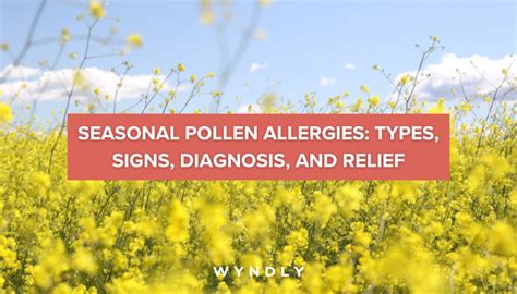 Pollen Allergy Symptoms Causes And Treatment 2023 And Wyndly