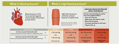 Low Diastolic Blood Pressure Low Diastolic Blood Pressure Youtube